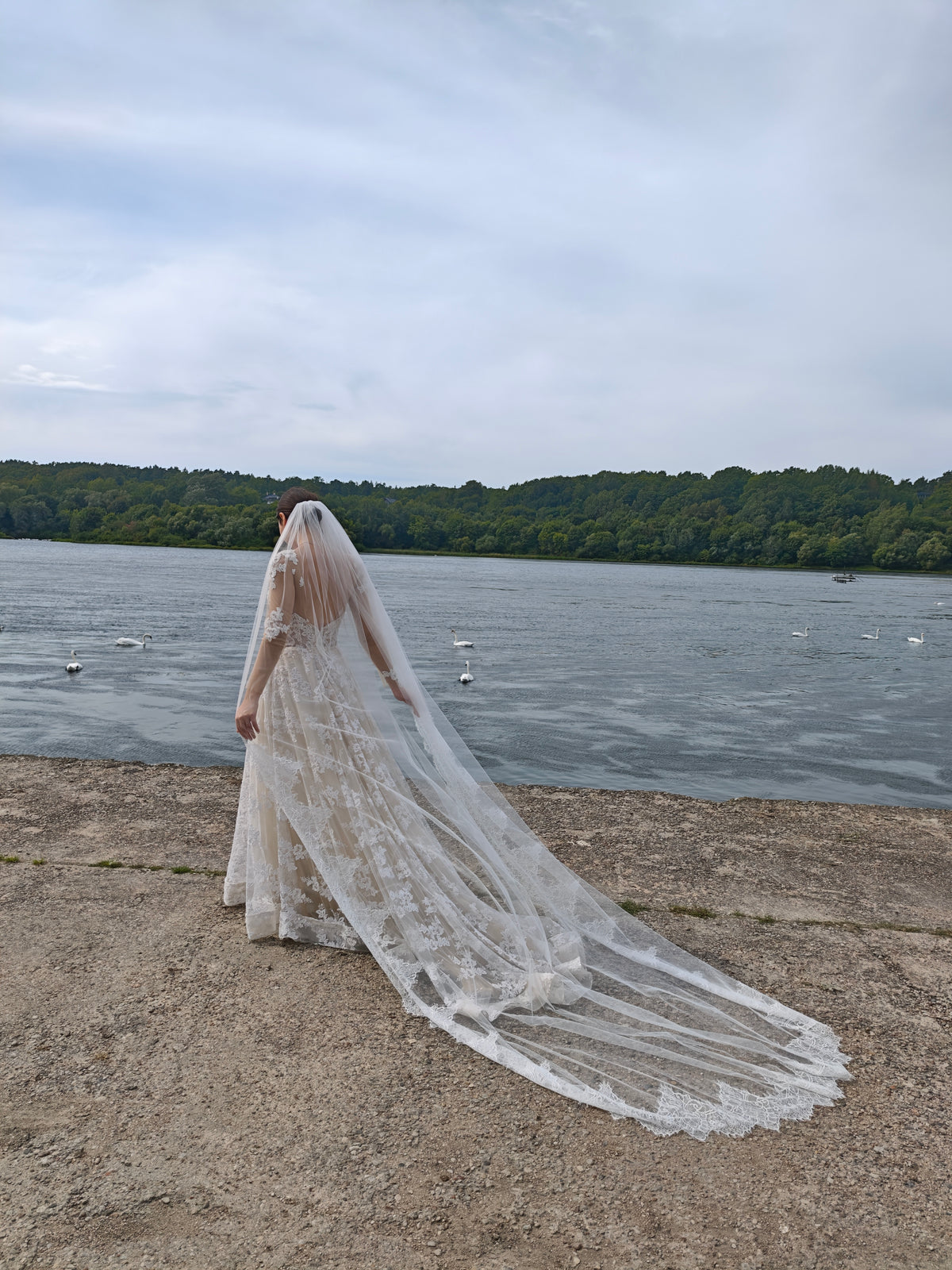 The Elodie Veil – Cathedral Veil with Wide Chantilly Lace Trim, Single Tier, Ivory